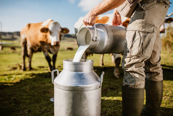 leche de vaca
