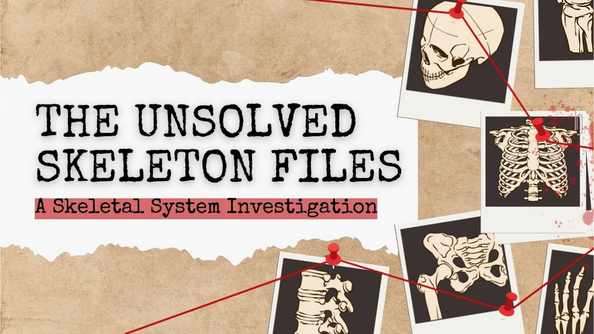 True crime stories 35