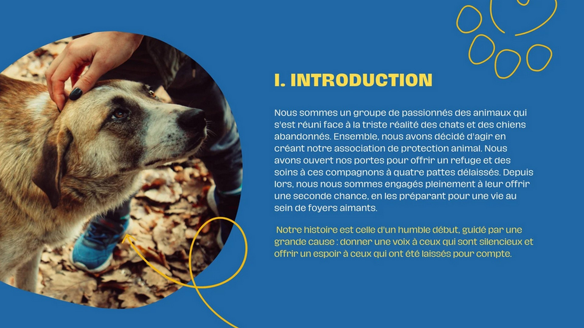 Association pour les animaux 3