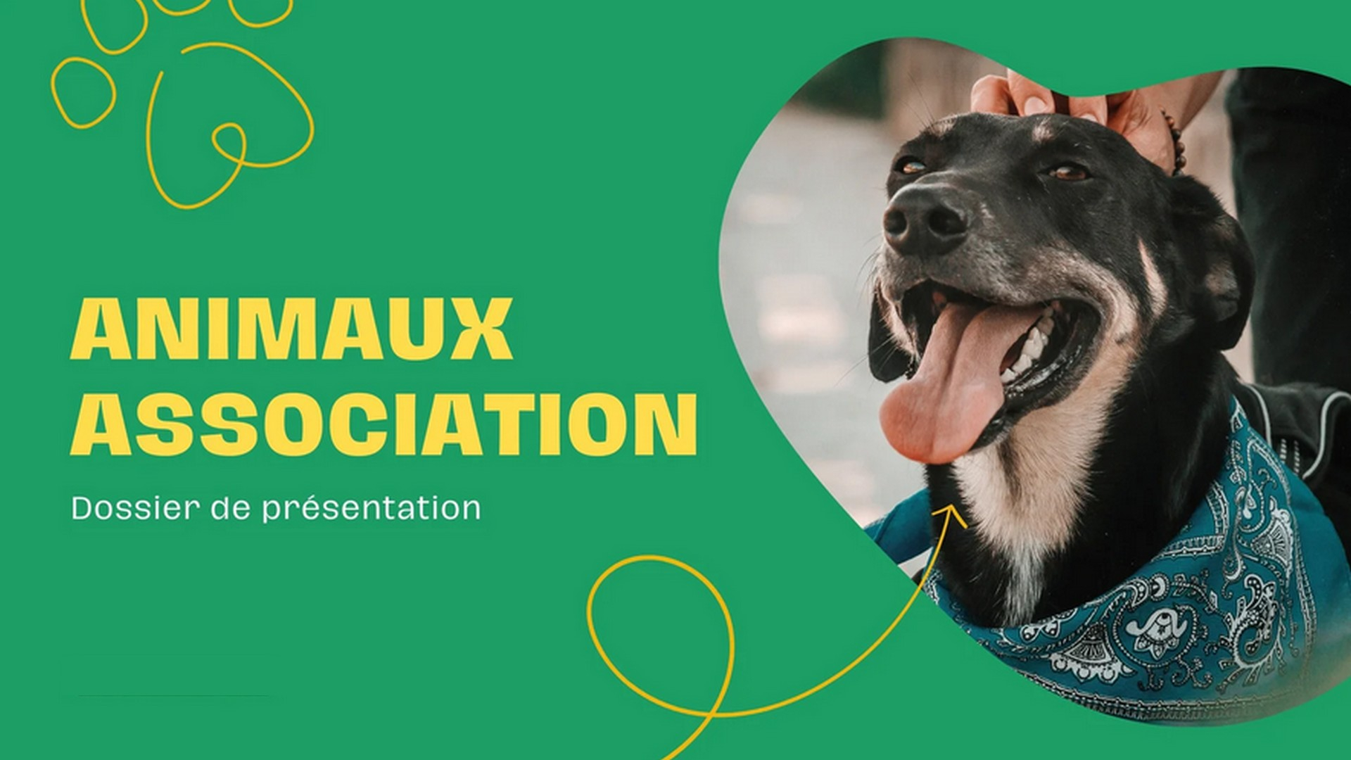 Association pour les animaux