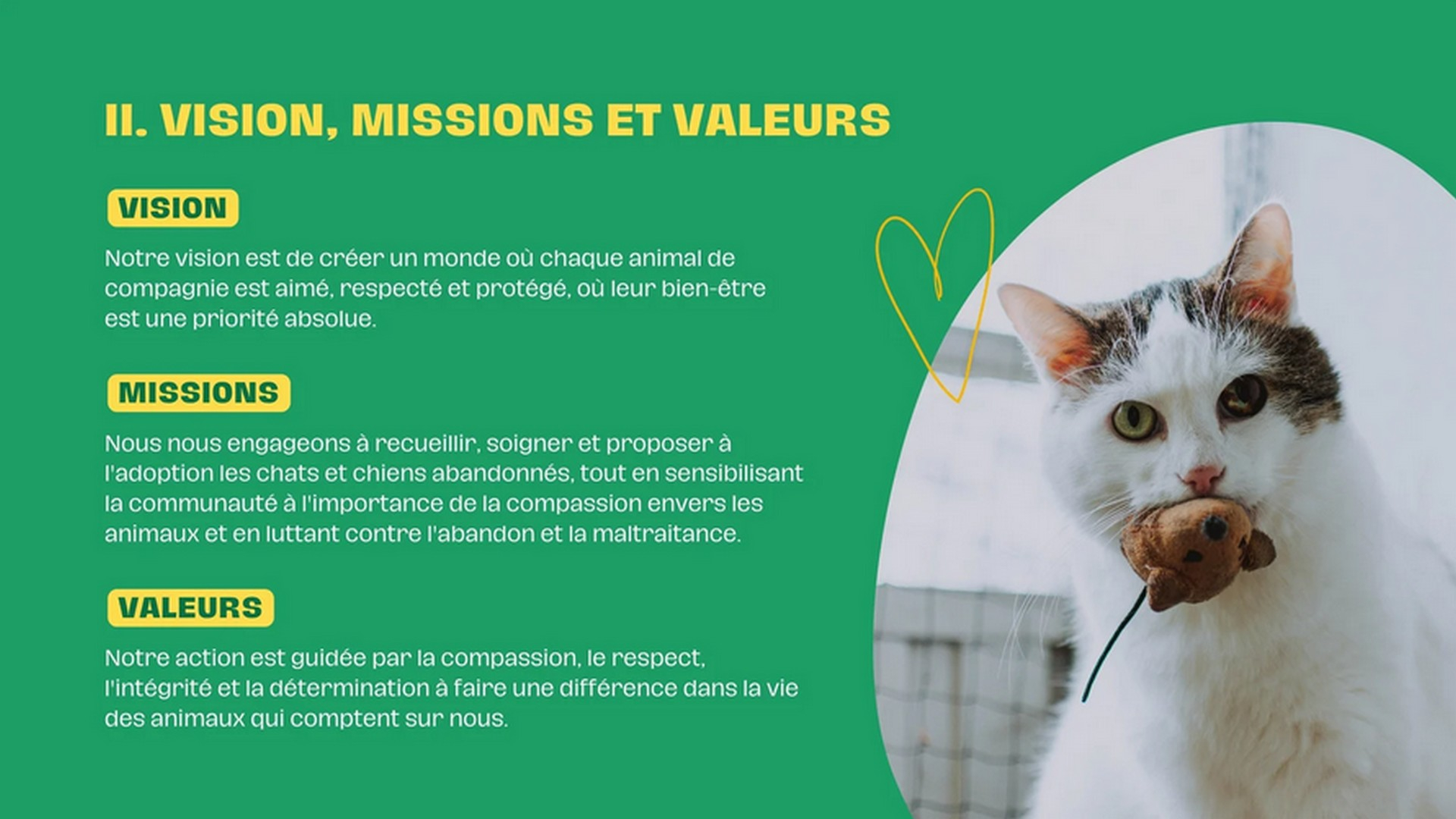 Association pour les animaux 4