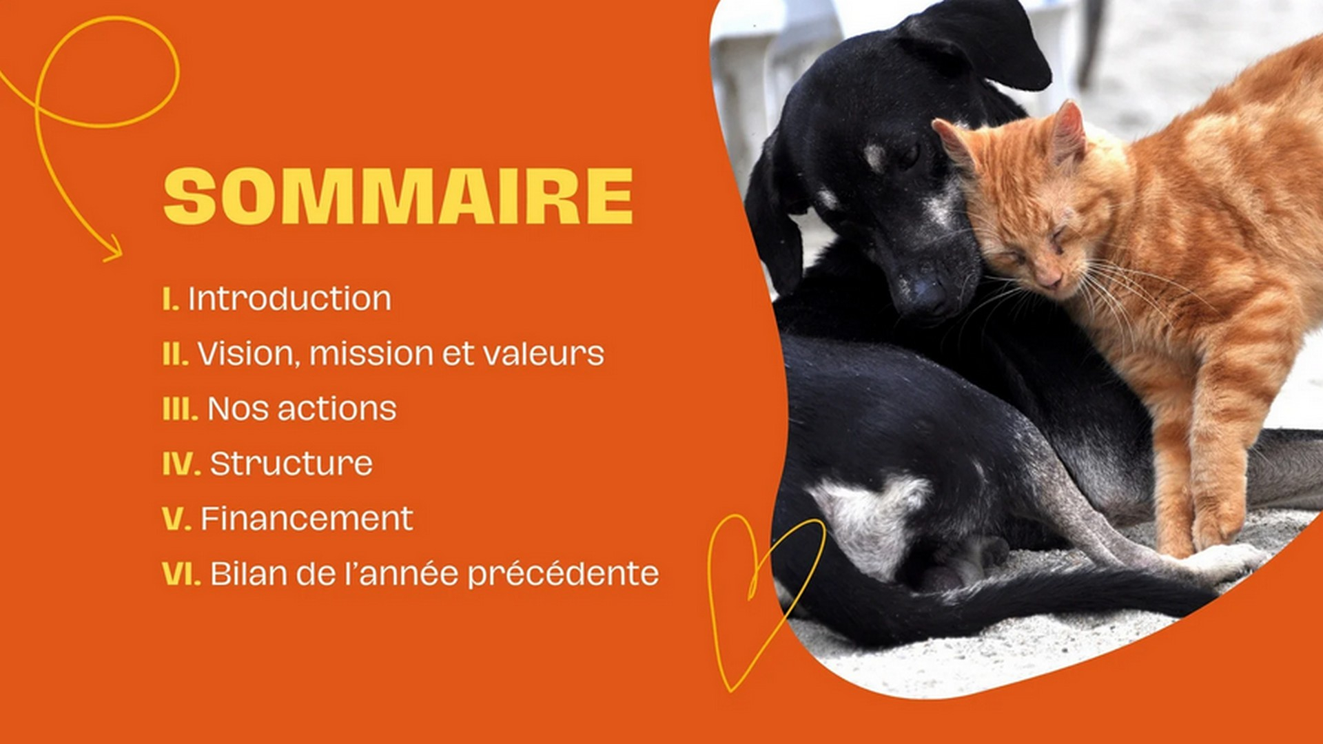 Les associations protectrices des animaux