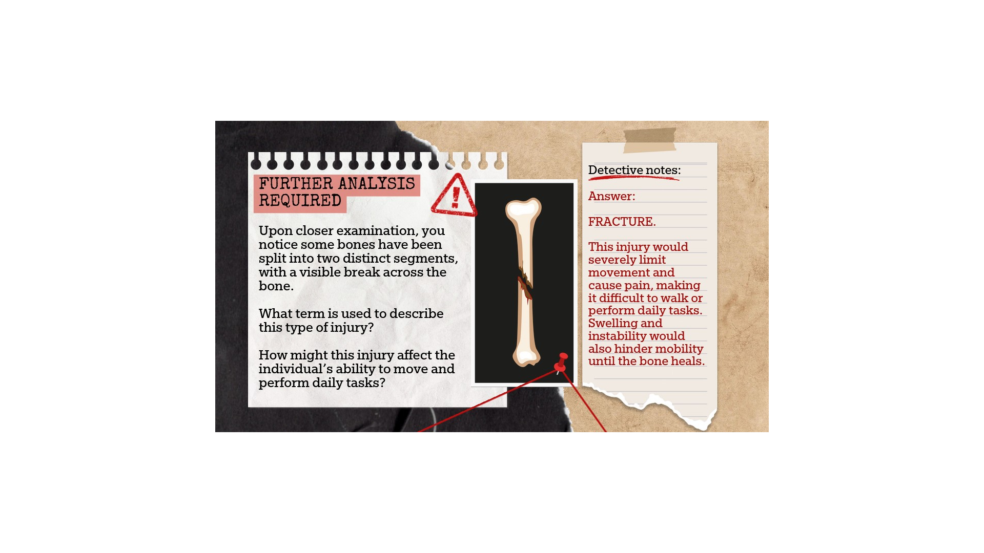 True crime stories 12