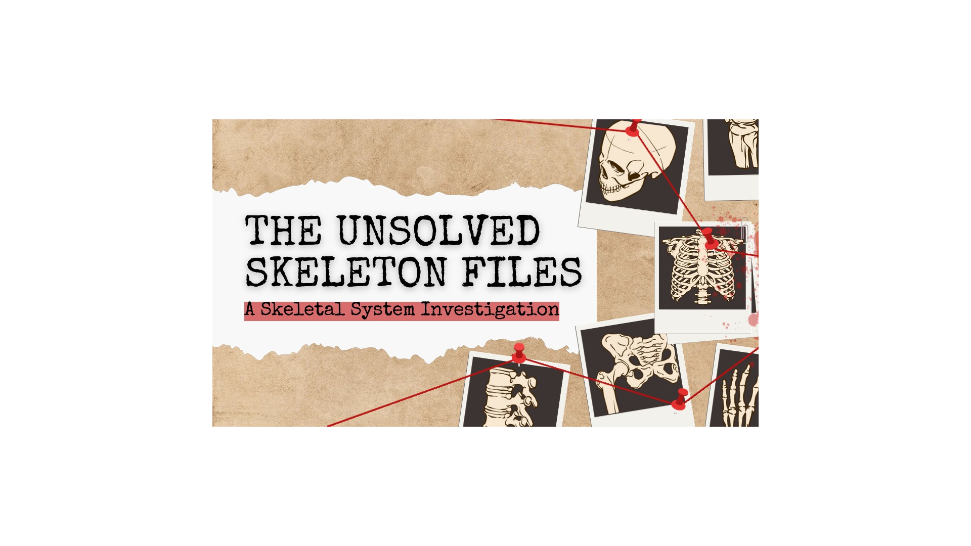 True crime stories 3